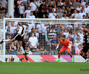 Premier League : Leicester et Tielemans battus, Mitrovic délivre encore Fulham