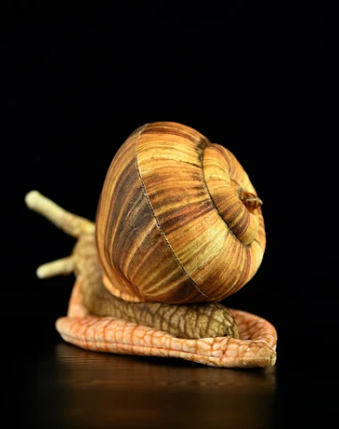 Simülasyon Salyangoz Bebek Sevimli - 1