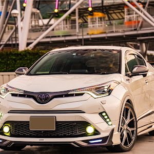 C-HR ZYX10