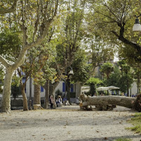 Viale del tramonto..autunnale di 