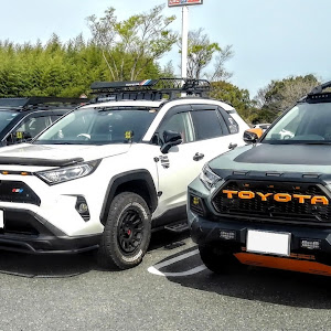 RAV4 MXAA54