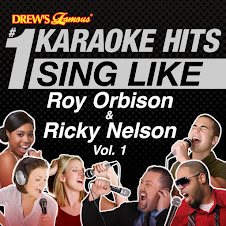 A Love So Beautiful (Karaoke Version)