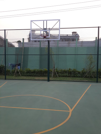 Basket Ball Field