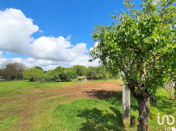 terrain à Le Champ-Saint-Père (85)