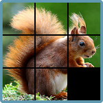 Sliding Puzzle Apk