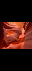 Wavereality