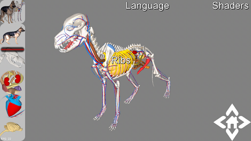 3D Dog Explorer