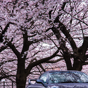 RX-7 FD3S 中期