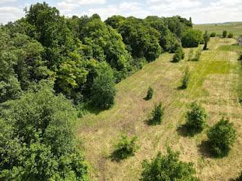 terrain à Pierry (51)