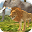 Lion RPG Simulator Download on Windows