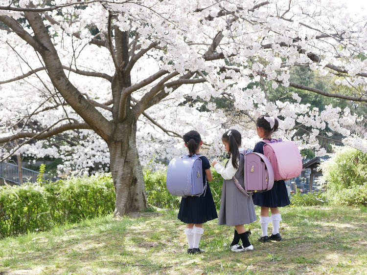 の投稿画像6枚目