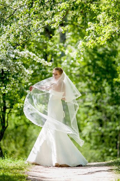 Fotograf ślubny Nikita Vishneveckiy (vishneveckiy). Zdjęcie z 25 lutego 2016