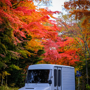 ミラウォークスルーバン L200V