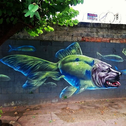 Peixorro