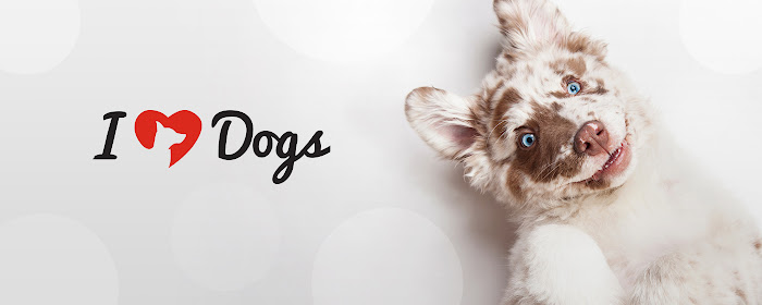 iHeartDogs Browser App marquee promo image