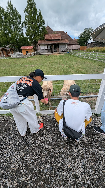 クルーガーの山と愛車に関するカスタム事例の投稿画像5枚目