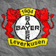 Bayer Leverkusen New Tab Theme