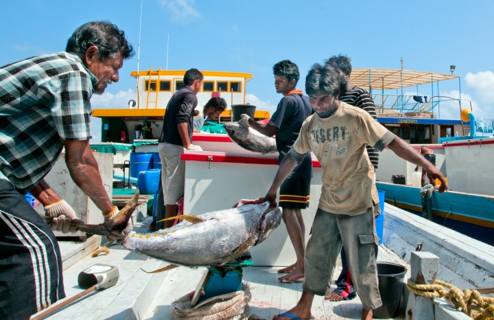 Pescatori di Tonno Maldiviani di Andrea Izzotti