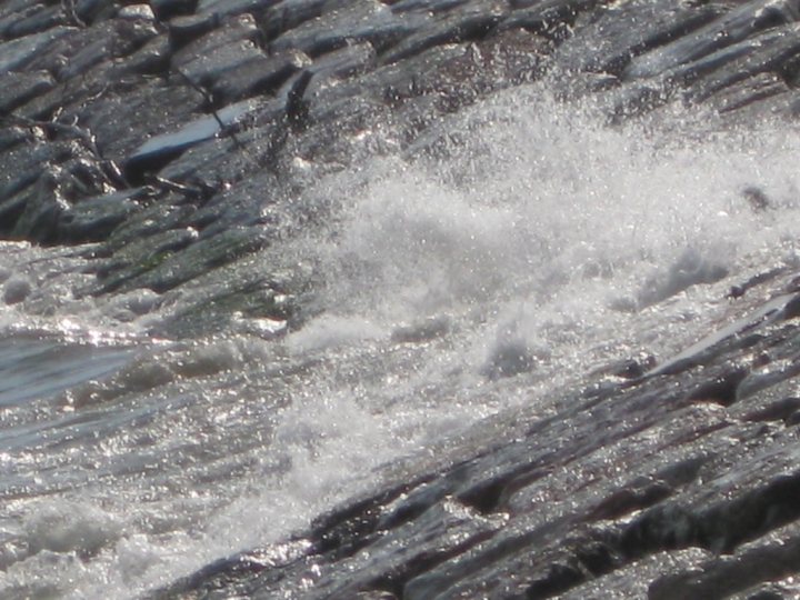 Il mare d'estate di cercri