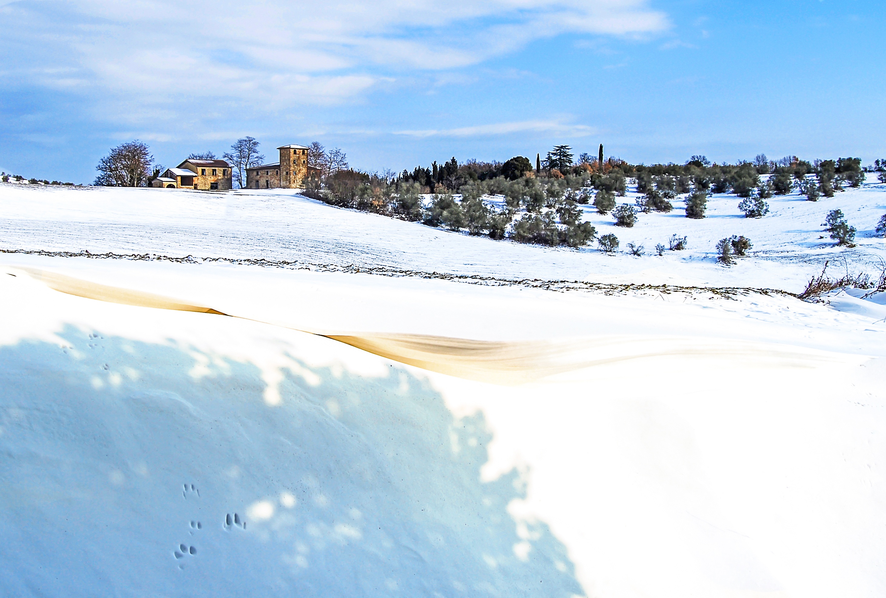 Impronte sulla neve di Adri-Mugna