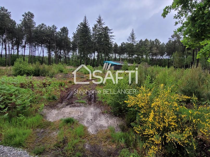 Vente terrain  4765 m² à Cérans-Foulletourte (72330), 74 000 €