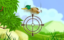Duck Shooter small promo image