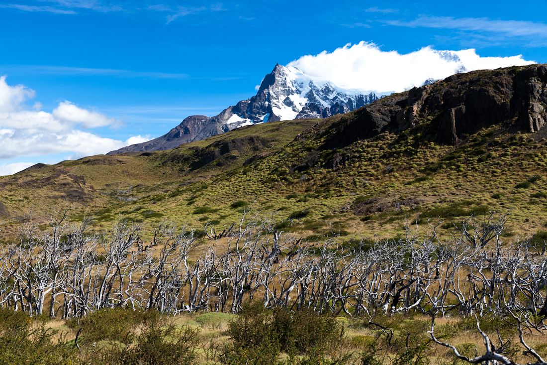 Патагония: Carretera Austral - Фицрой - Торрес-дель-Пайне. Треккинг, фото.