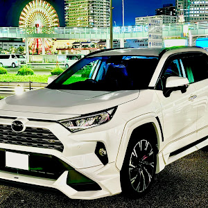 RAV4 MXAA54