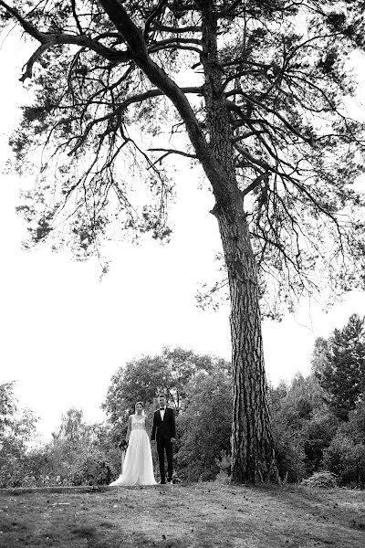 Fotógrafo de bodas Aleksandr Zubkov (aleksanderzubkov). Foto del 27 de noviembre 2017