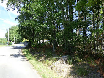 terrain à Eyraud-Crempse-Maurens (24)