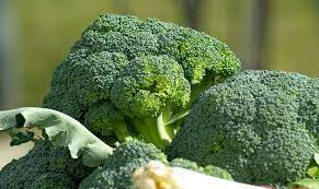 Top 5 Health Benefits of Broccoli