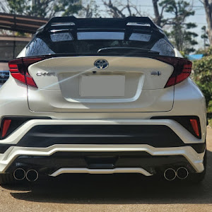 C-HR ZYX11