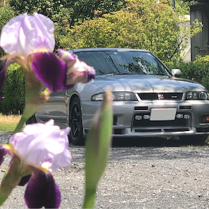 スカイライン GT-R BCNR33