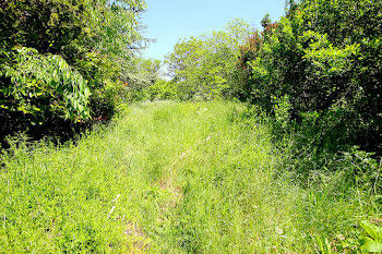 terrain à Esparron (83)