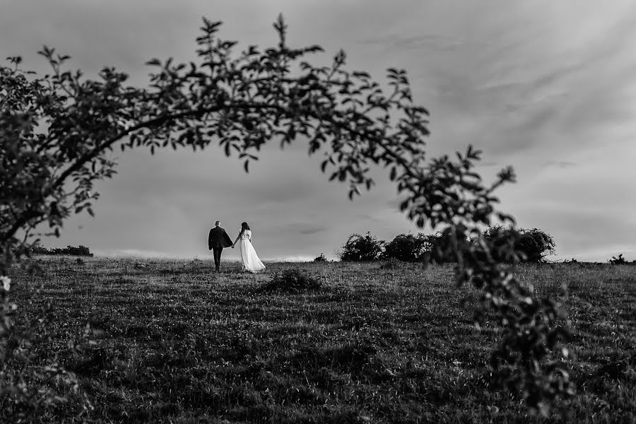 Fotografo di matrimoni Mihai Ruja (mrvisuals). Foto del 3 ottobre 2018