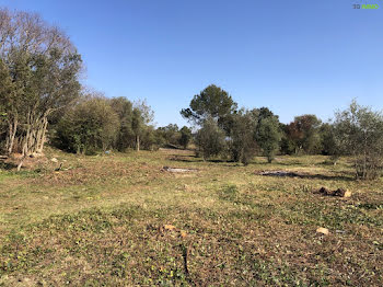 terrain à Sanilhac-Sagriès (30)