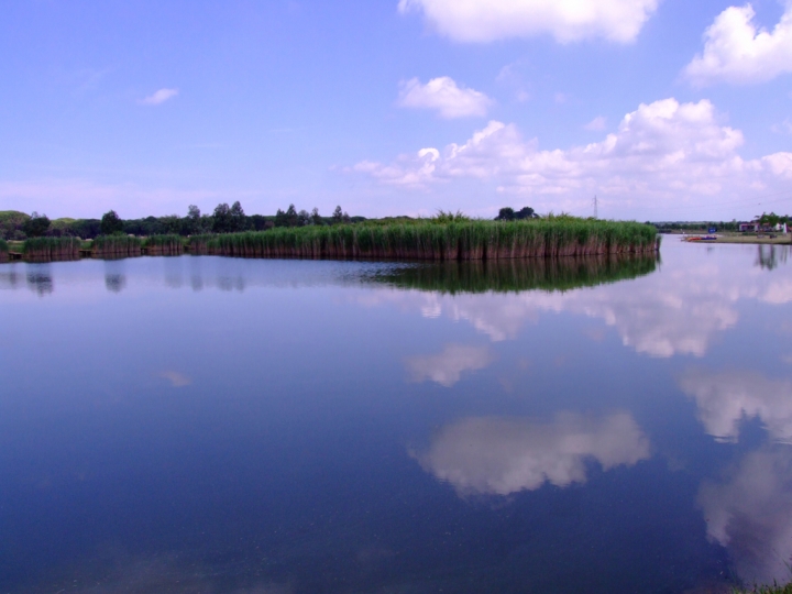 LAKE PLACID di ciubecca