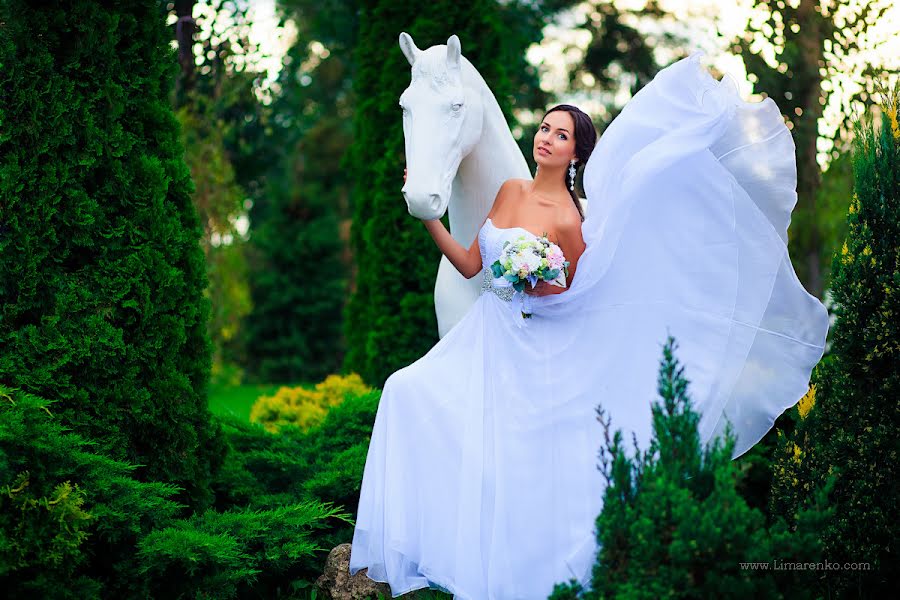 Wedding photographer Darina Limarenko (andriyanova). Photo of 15 November 2013