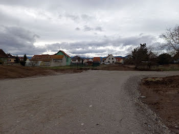 terrain à Sainte-Croix-en-Plaine (68)