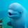 Beluga Whale - New Tab in HD