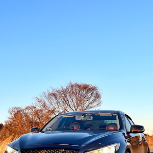 スカイライン HV37