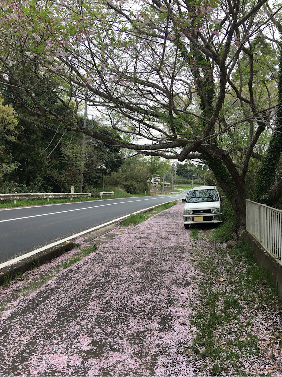 の投稿画像2枚目