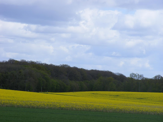 E quasi Primavera... di polecat