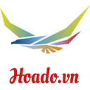 Hoado.vn chrome extension