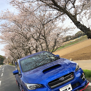 WRX STI