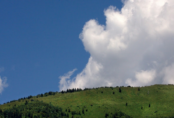 Natura... in silenzio. di Orione