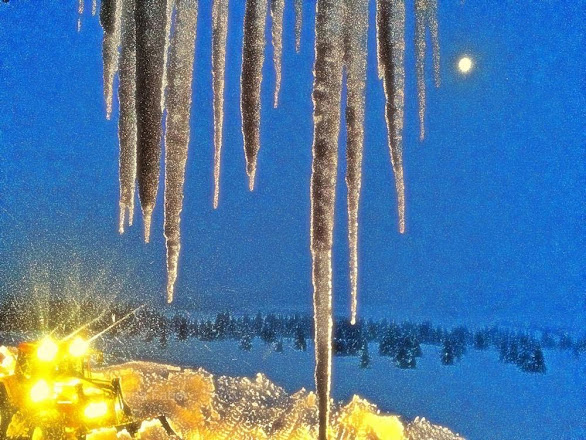 Photo: One World Institute, Hornsjo. View from the dinning room