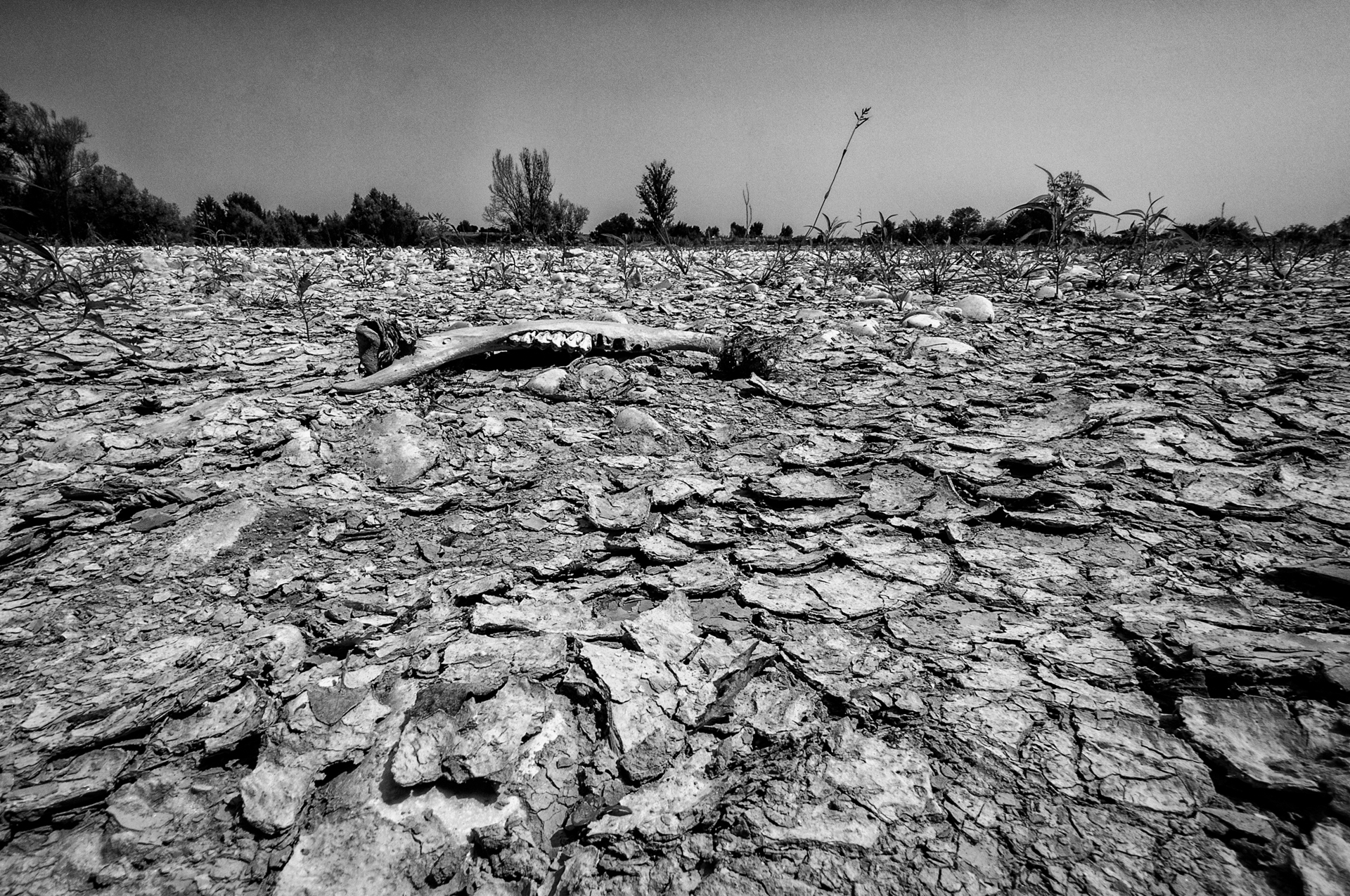 Aridità di Luporosso