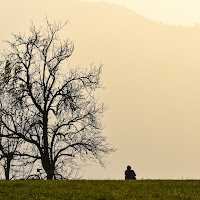 Solitudine di novembre di 