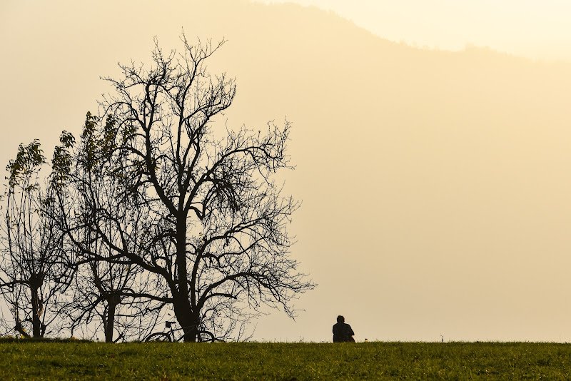 Solitudine di novembre di laura62